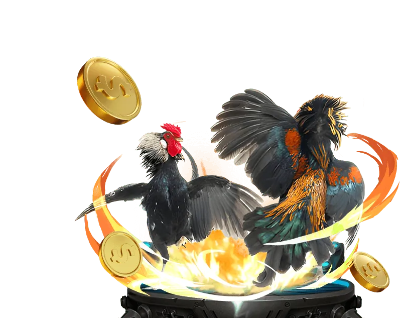 Hoàn Trả Hàng Ngày JDB66